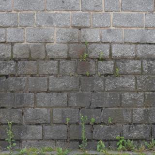 Photo Texture of Wall Stones